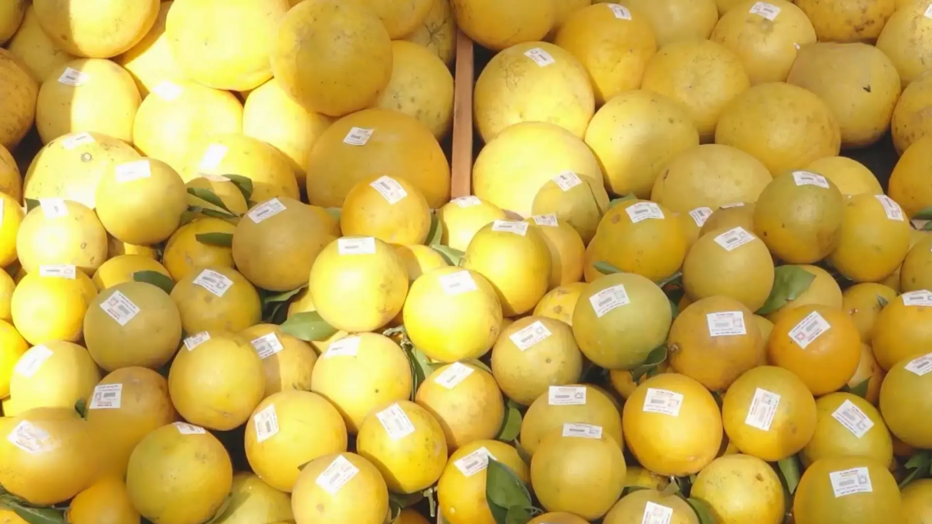 Tăng kết nối vùng, đưa nông sản địa phương về Hà Nội